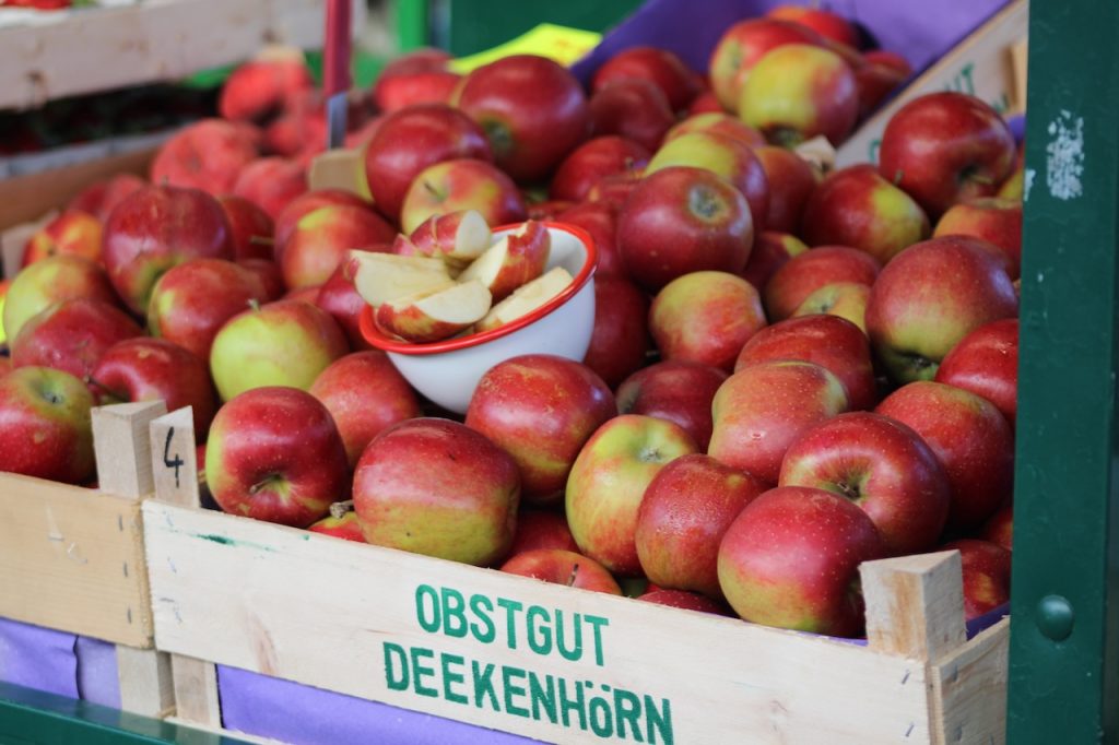 Bild Obstsortiment mit Äpfeln